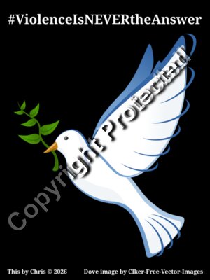 #ViolenceIsNEVERtheAnswer (White writing with Dove)